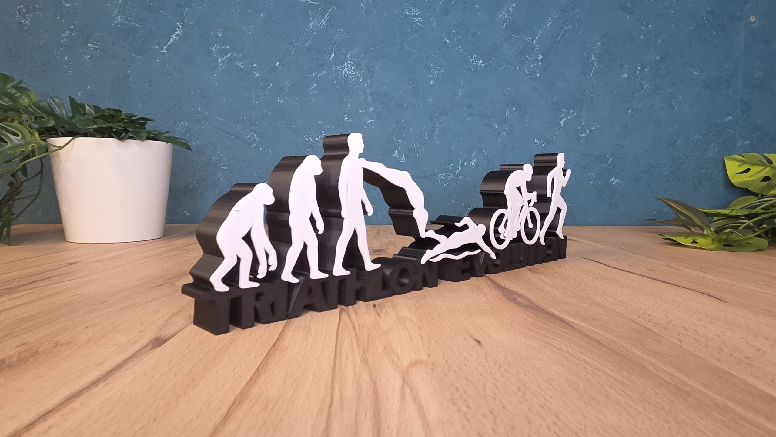 Triathlon Evolution Schriftzug – humorvolle Triathlon Deko für Ausdauersportler – Bild 3