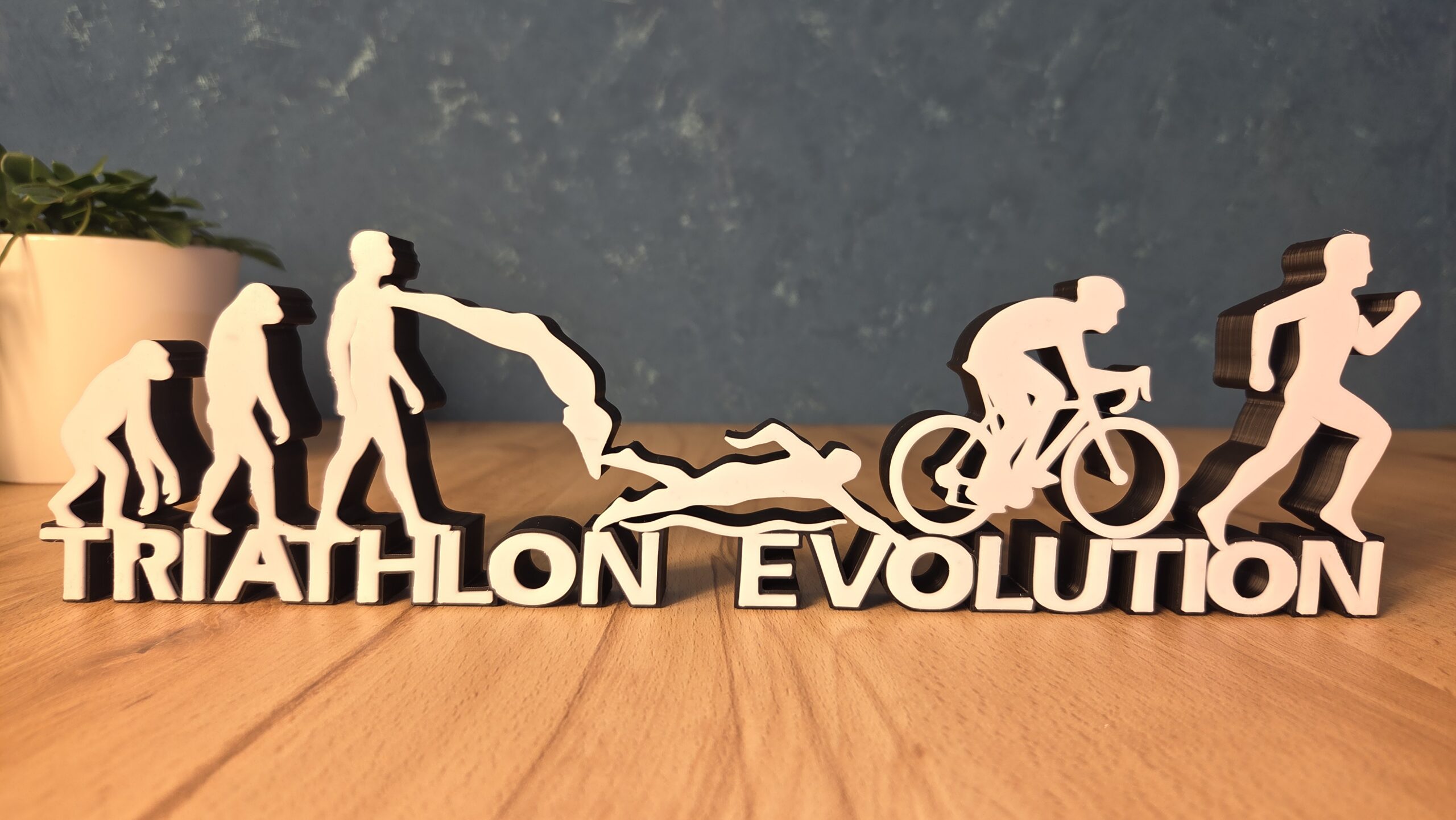 Triathlon Evolution Schriftzug – humorvolle Triathlon Deko für Ausdauersportler – Bild 2