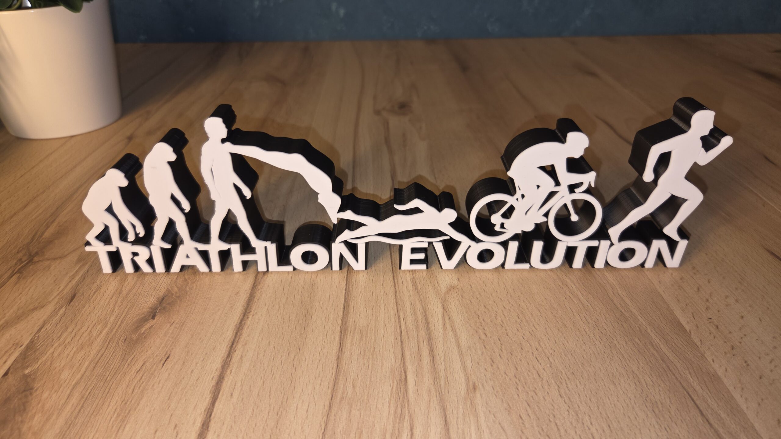Triathlon Evolution Schriftzug – humorvolle Triathlon Deko für Ausdauersportler – Bild 4